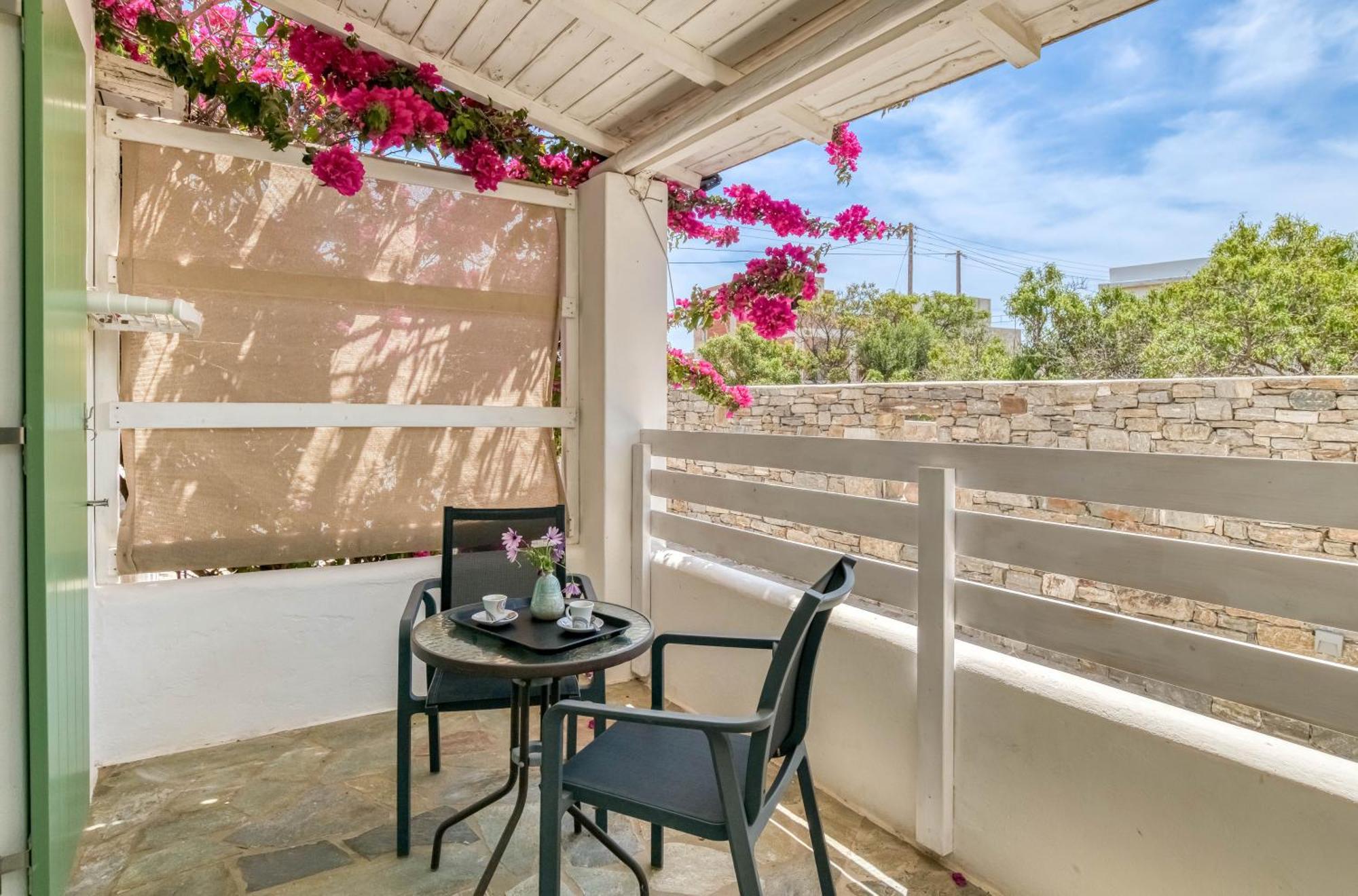 Dahlia And 3* Aliki (Paros)